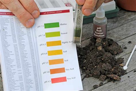 testing soil for ph level